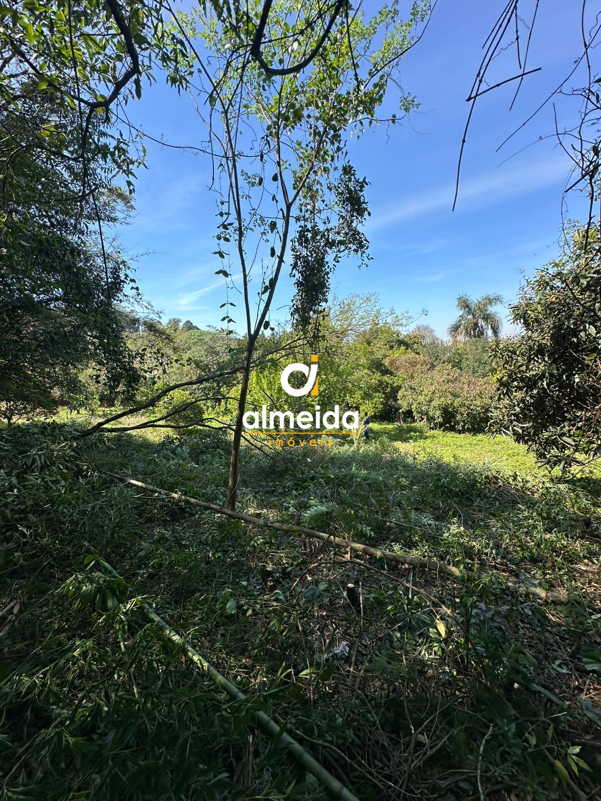 Terreno/Lote à venda, 3.836 m² por R$ 380.000,00 Terreno/Lote à venda, 3.836 m² por R$ 380.000,00