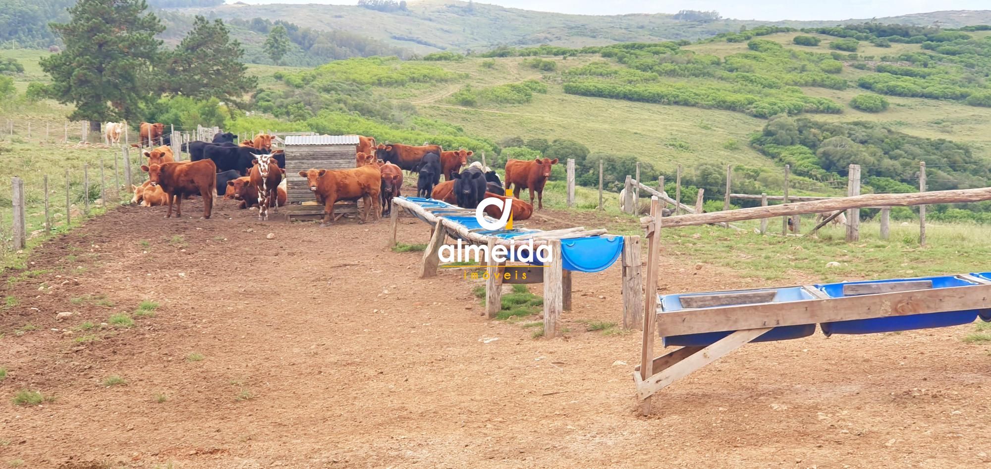 Terreno comercial  venda  no Zona Rural - Pantano Grande, RS. Imveis