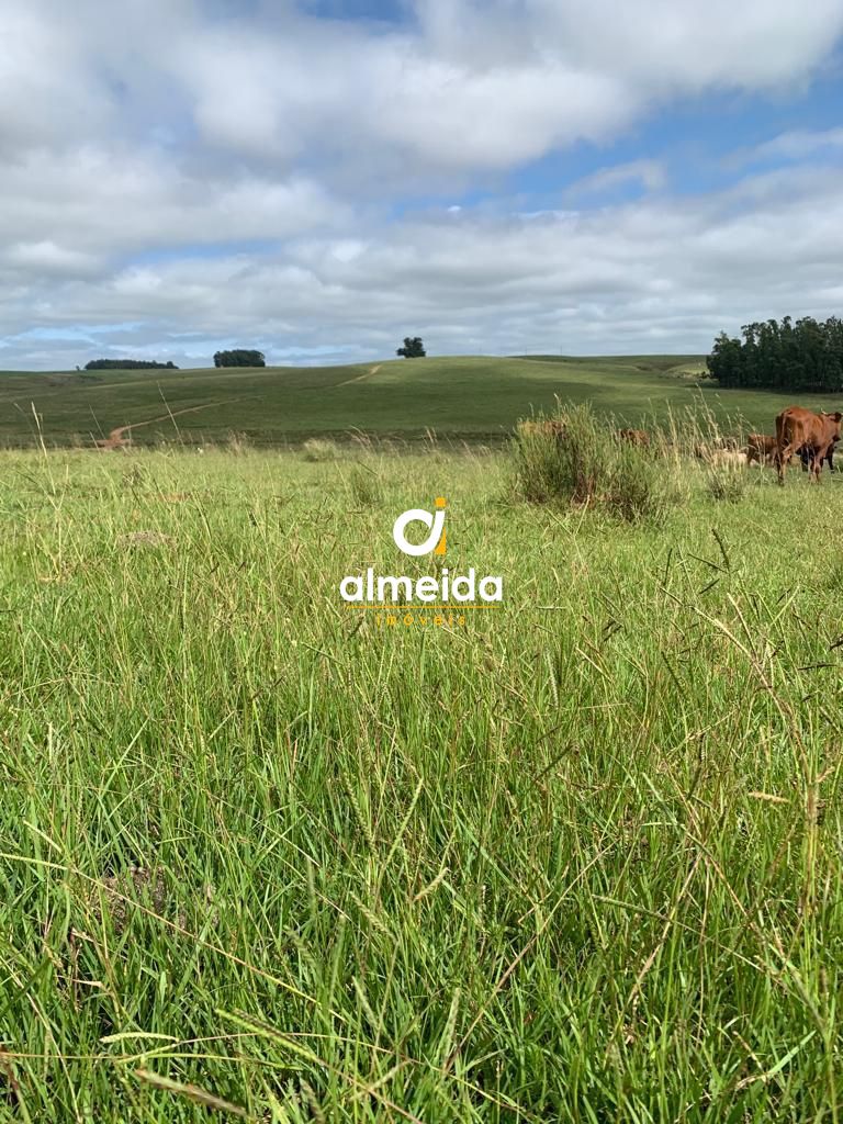 Campo à venda centro rosário do sul/rs - foto 10
