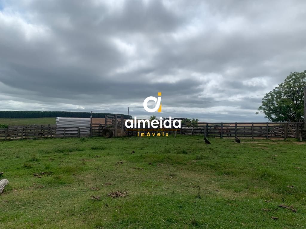 Campo à venda centro rosário do sul/rs - foto 4