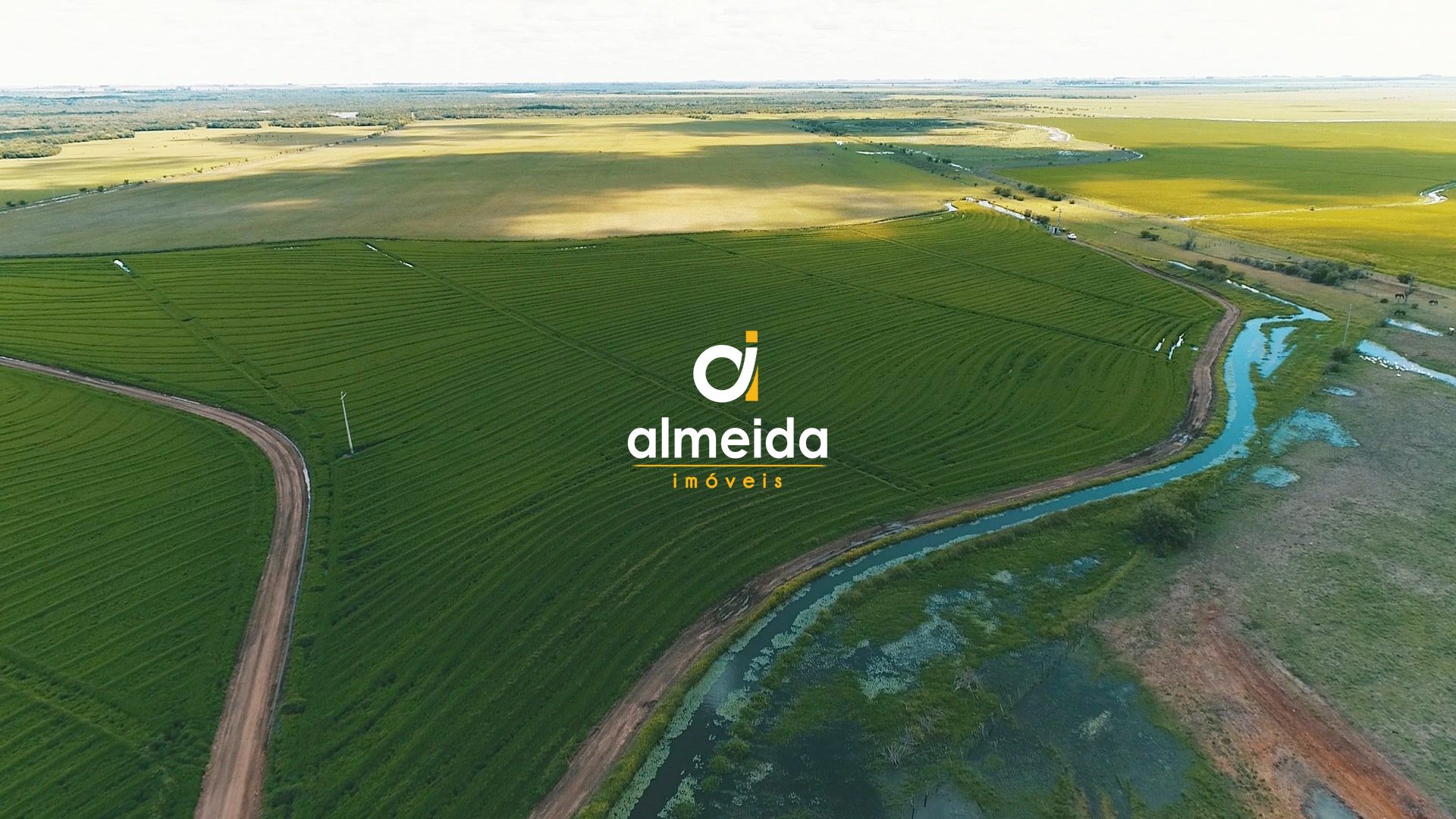 Loteamento e Condomínio à venda com 3 quartos, 45300000000m² - Foto 12