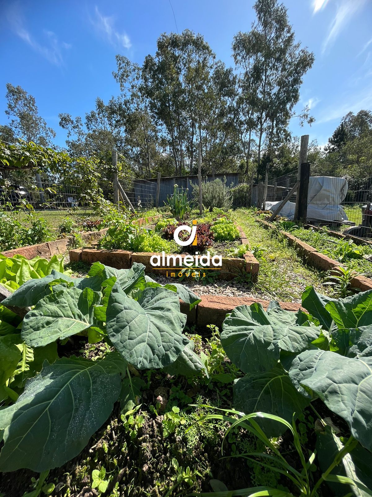 Sítio, 3 quartos, 92600 hectares - Foto 22