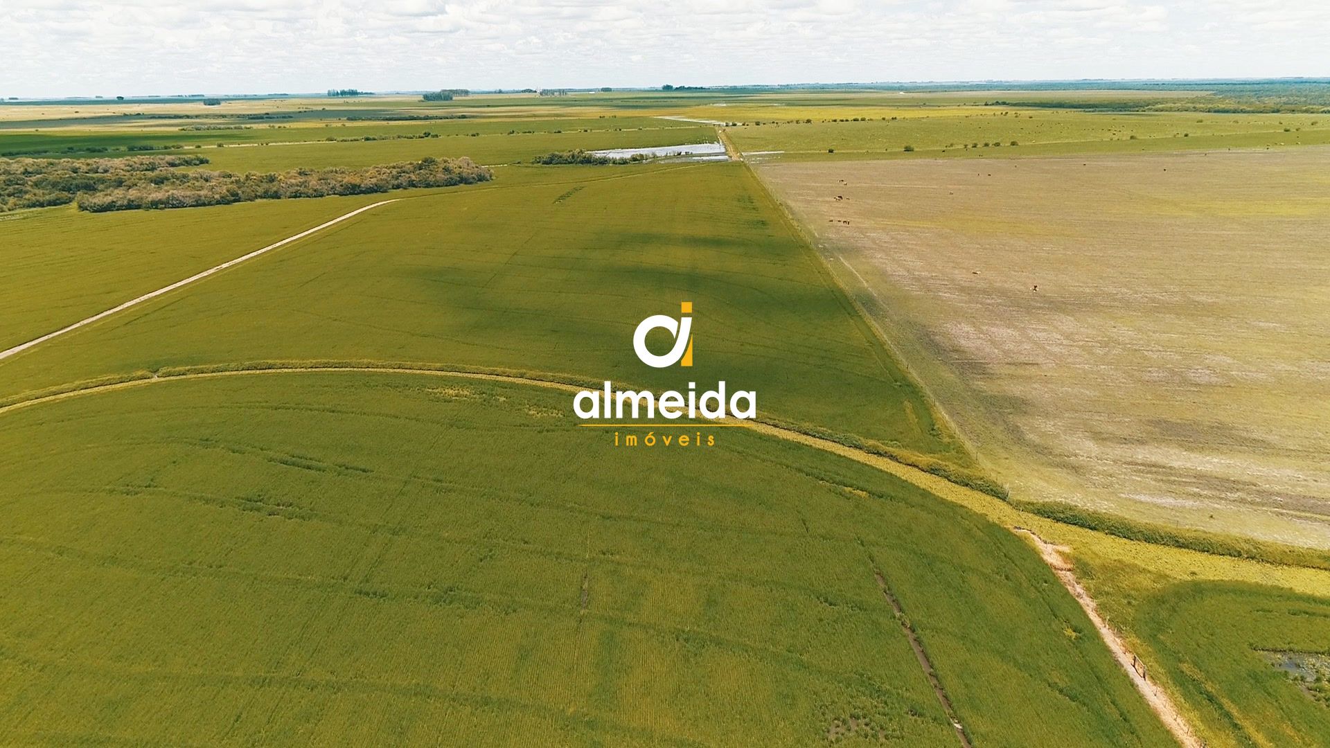 Loteamento e Condomínio à venda com 3 quartos, 45300000000m² - Foto 26