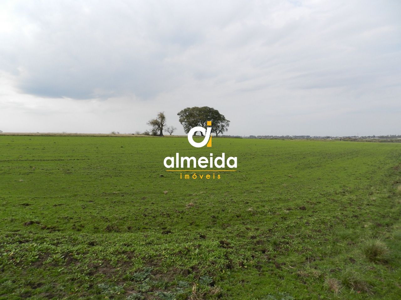 Fazenda localizada em alegrete com 502 ha com excelente logí