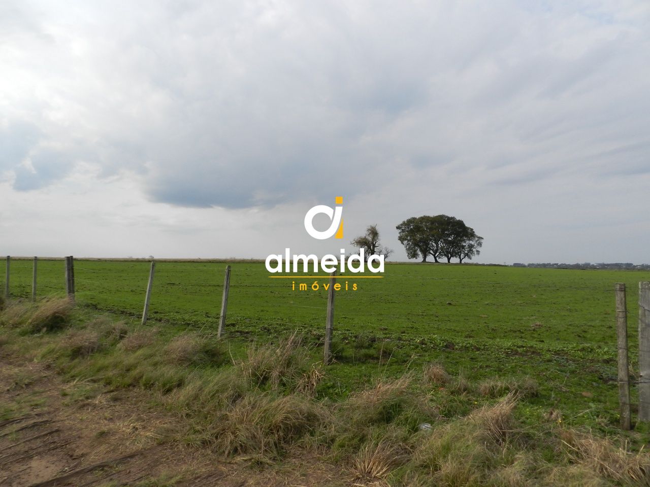 Fazenda localizada em alegrete com 502 ha com excelente logí