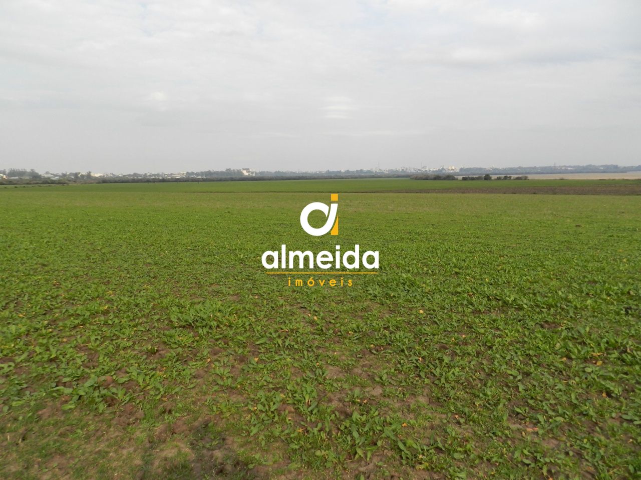Fazenda localizada em alegrete com 502 ha com excelente logí