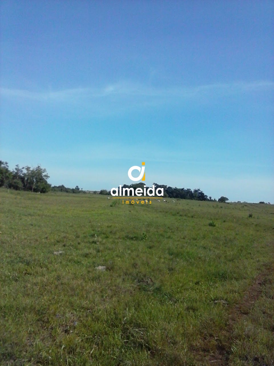 Terreno comercial para alugar  no Zona Rural - Roque Gonzales, RS. Imveis