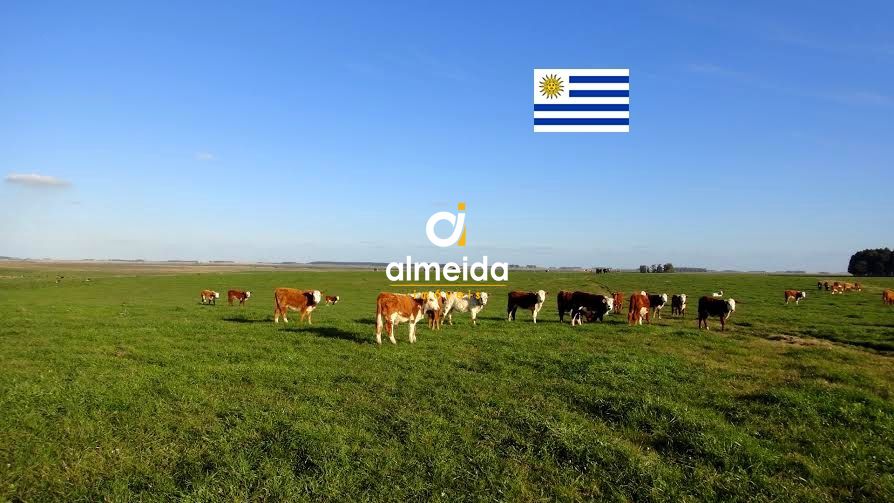 Loteamento e Condomínio, 3443 hectares - Foto 1