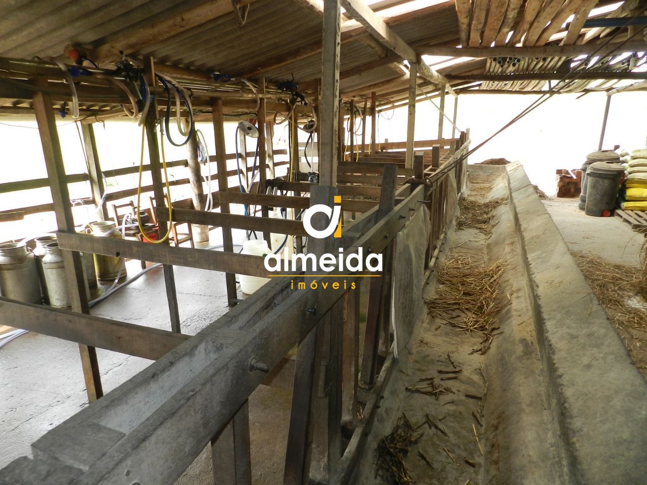 Chácara à venda com 3 quartos, 600000000m² - Foto 54