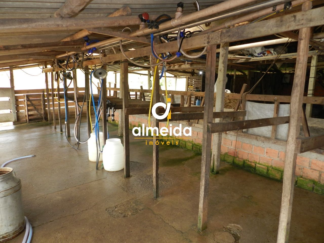 Chácara à venda com 3 quartos, 600000000m² - Foto 58