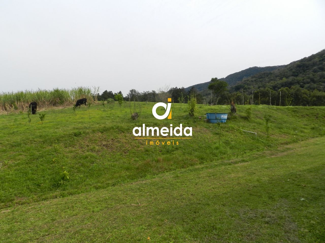 Chácara à venda com 3 quartos, 600000000m² - Foto 43