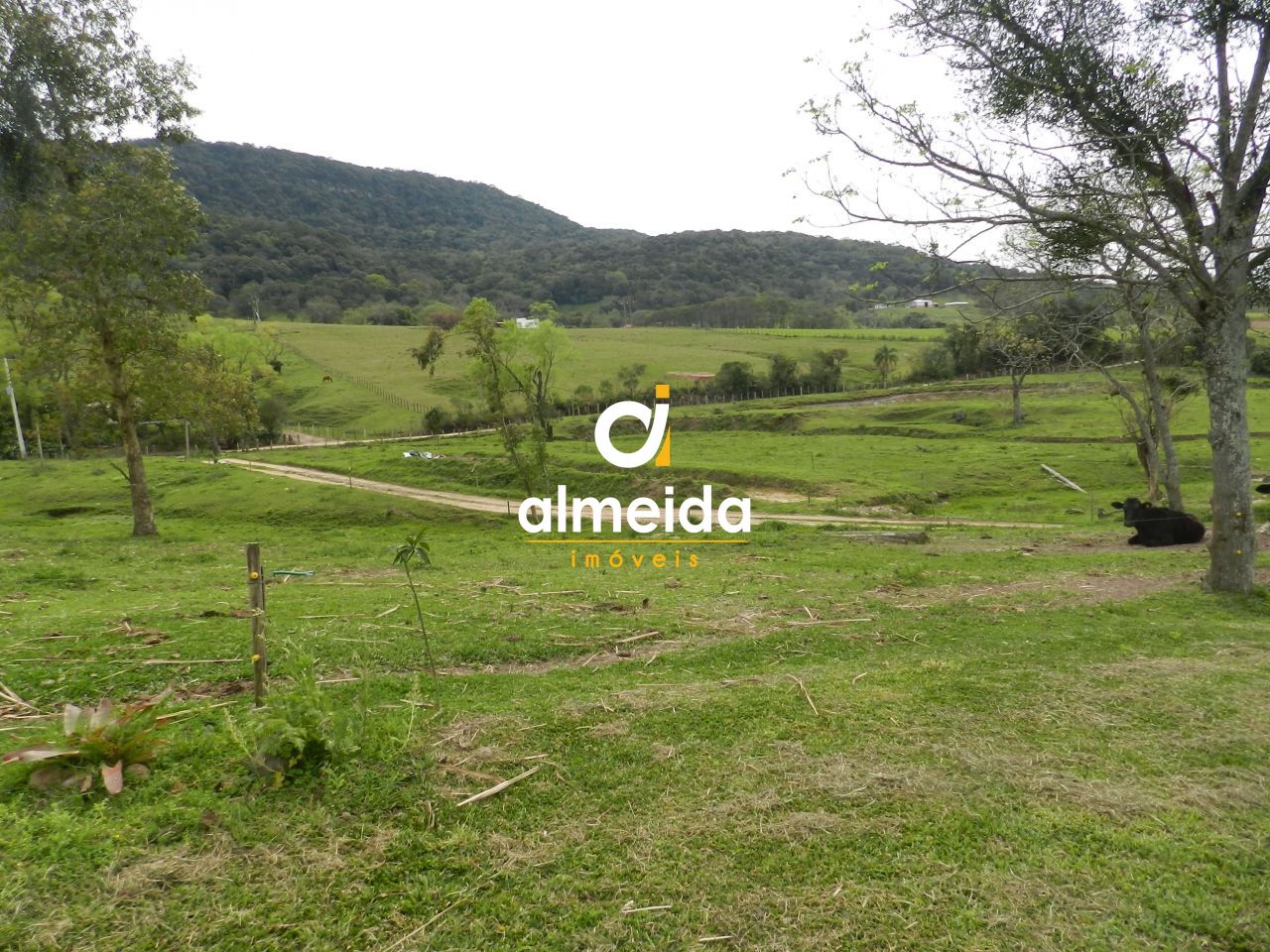 Chácara à venda com 3 quartos, 600000000m² - Foto 42