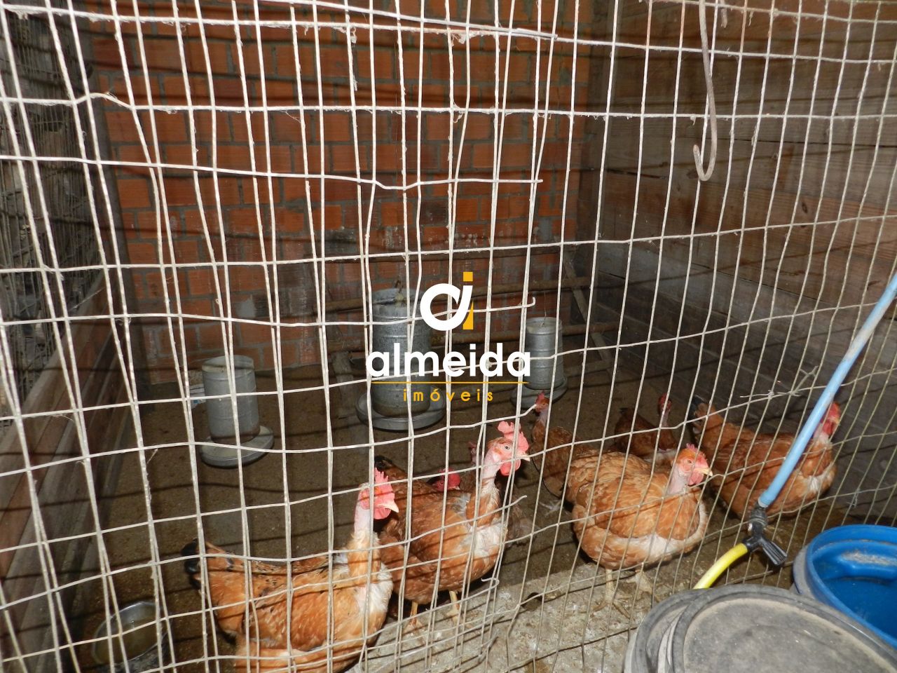 Chácara à venda com 3 quartos, 600000000m² - Foto 51
