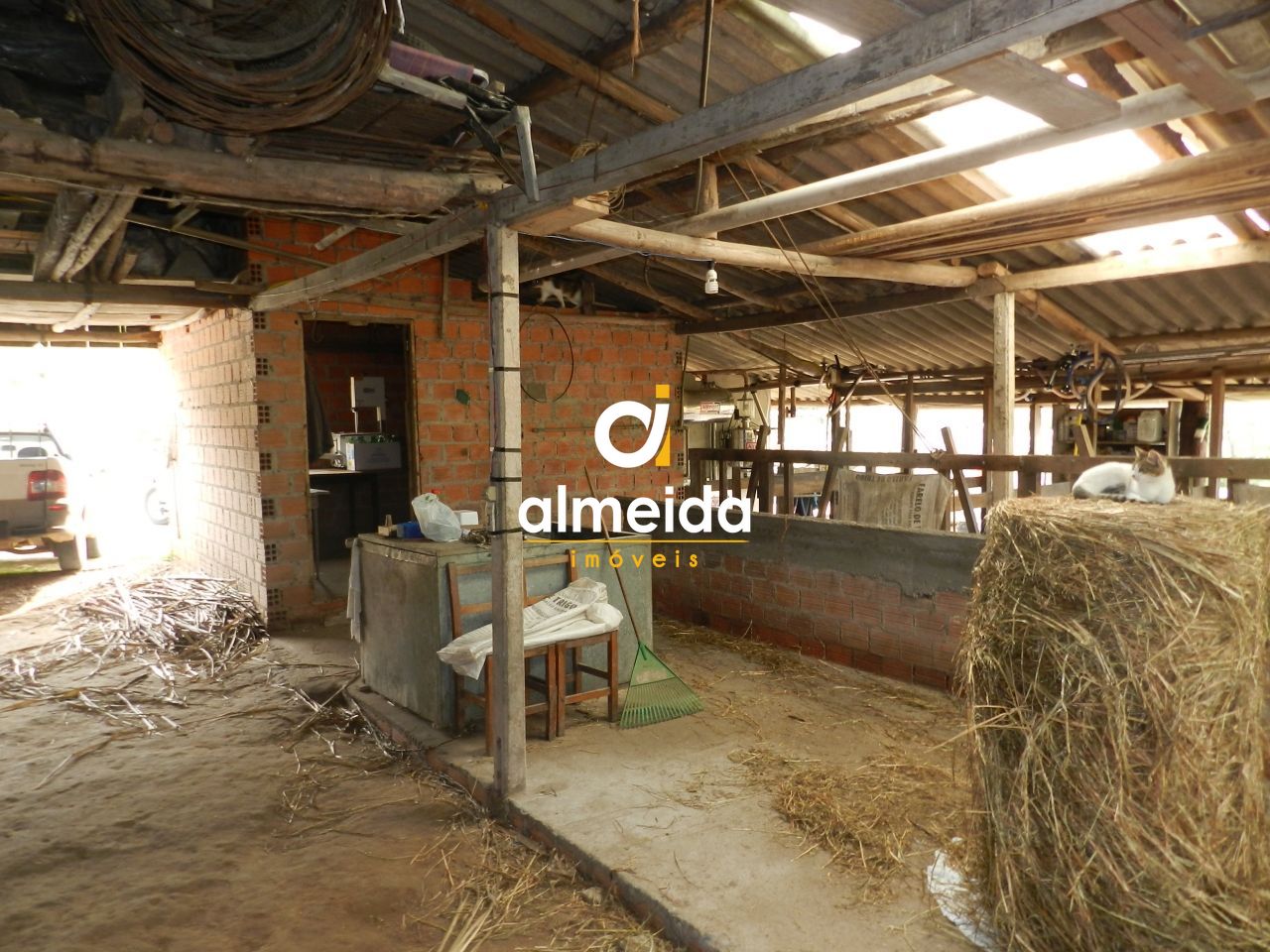 Chácara à venda com 3 quartos, 600000000m² - Foto 52