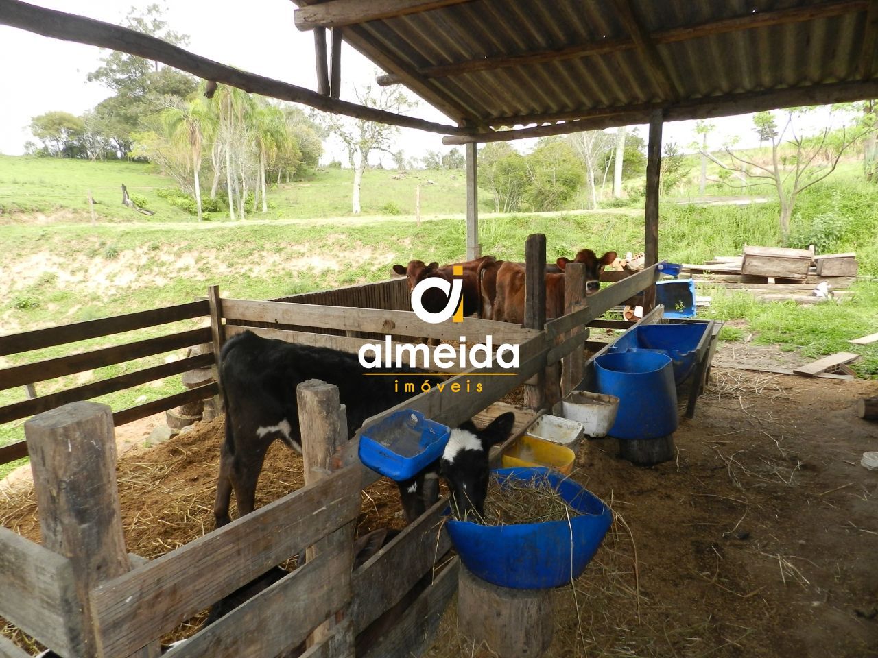 Chácara à venda com 3 quartos, 600000000m² - Foto 48