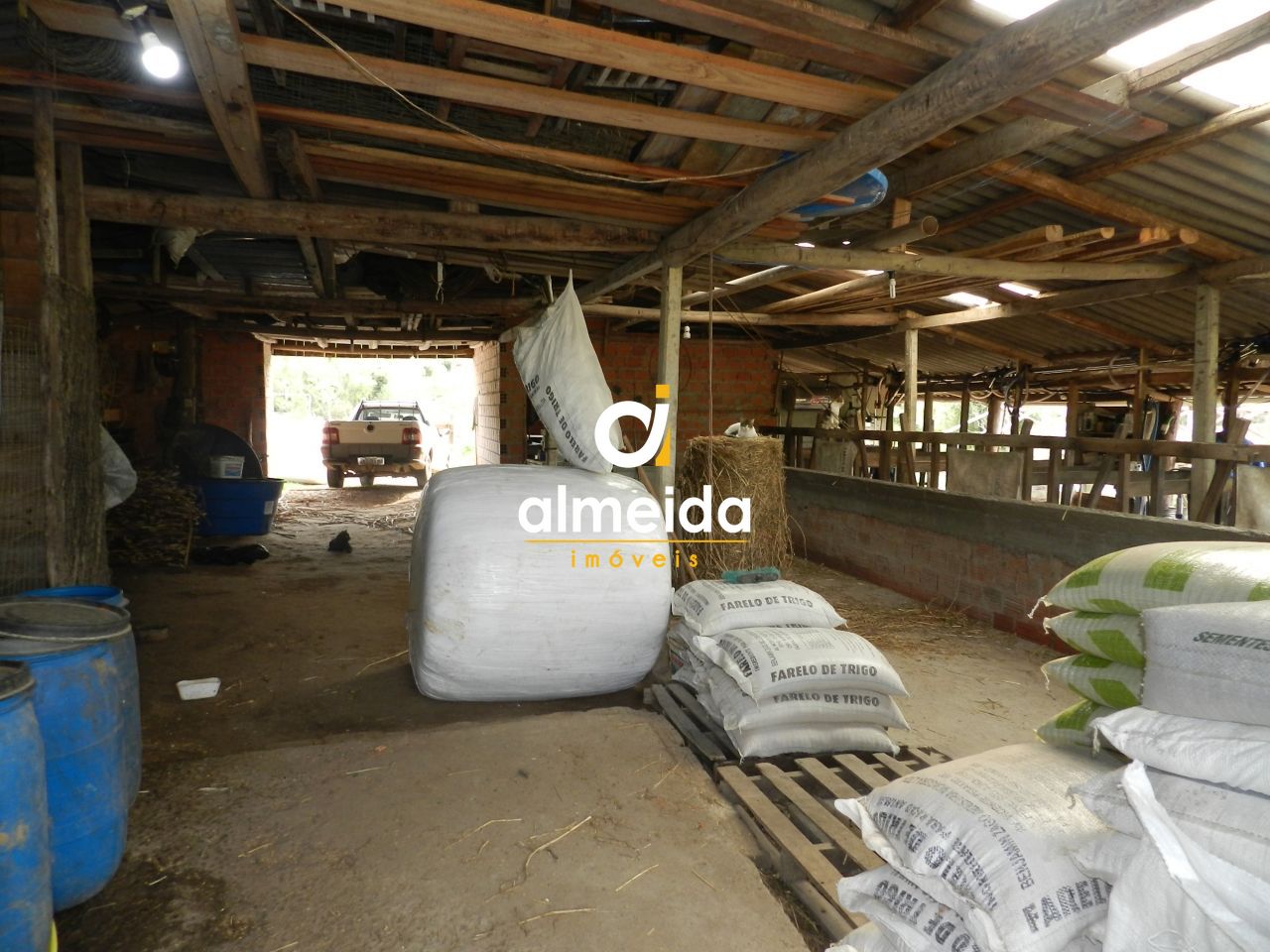Chácara à venda com 3 quartos, 600000000m² - Foto 47