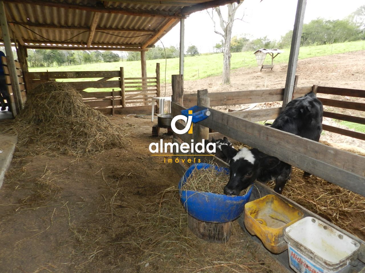 Chácara à venda com 3 quartos, 600000000m² - Foto 45