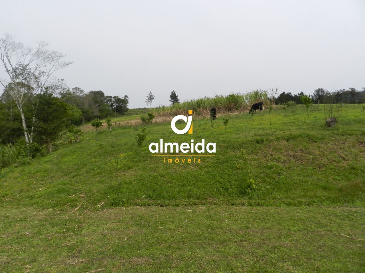 Chácara à venda com 3 quartos, 600000000m² - Foto 44
