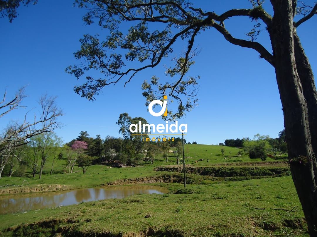 Chácara à venda com 3 quartos, 600000000m² - Foto 39