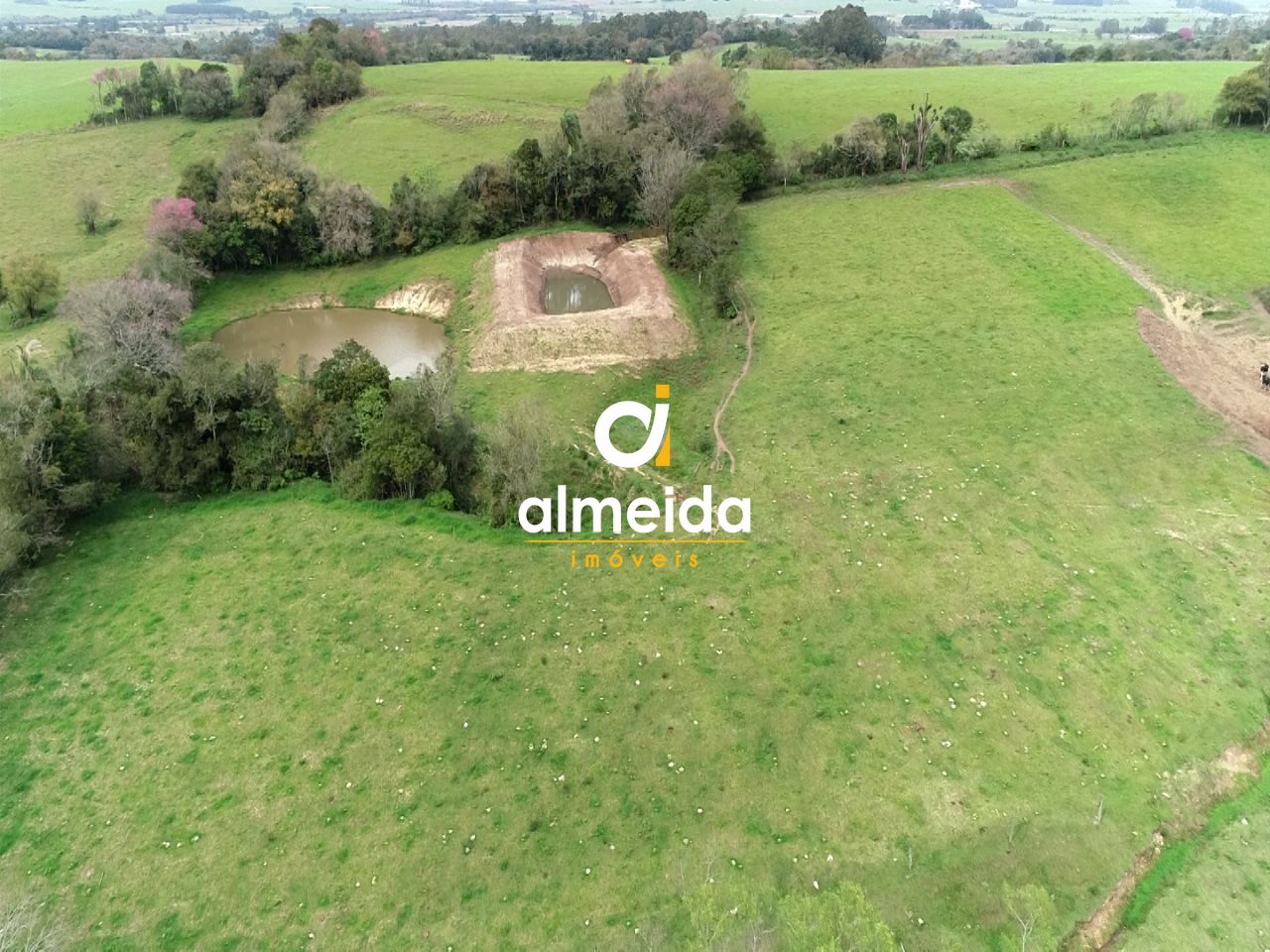 Chácara à venda com 3 quartos, 600000000m² - Foto 15