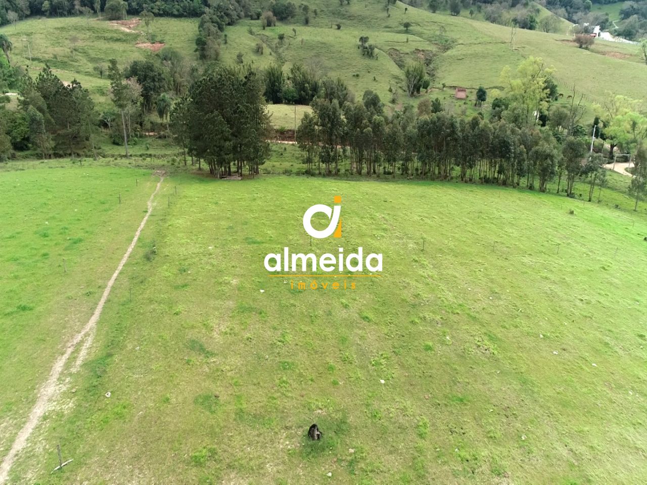 Chácara à venda com 3 quartos, 600000000m² - Foto 16