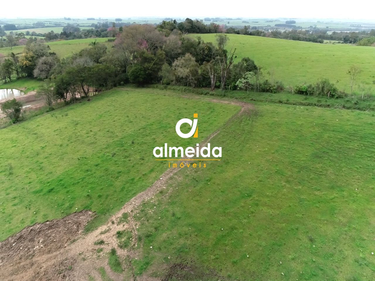 Chácara à venda com 3 quartos, 600000000m² - Foto 11