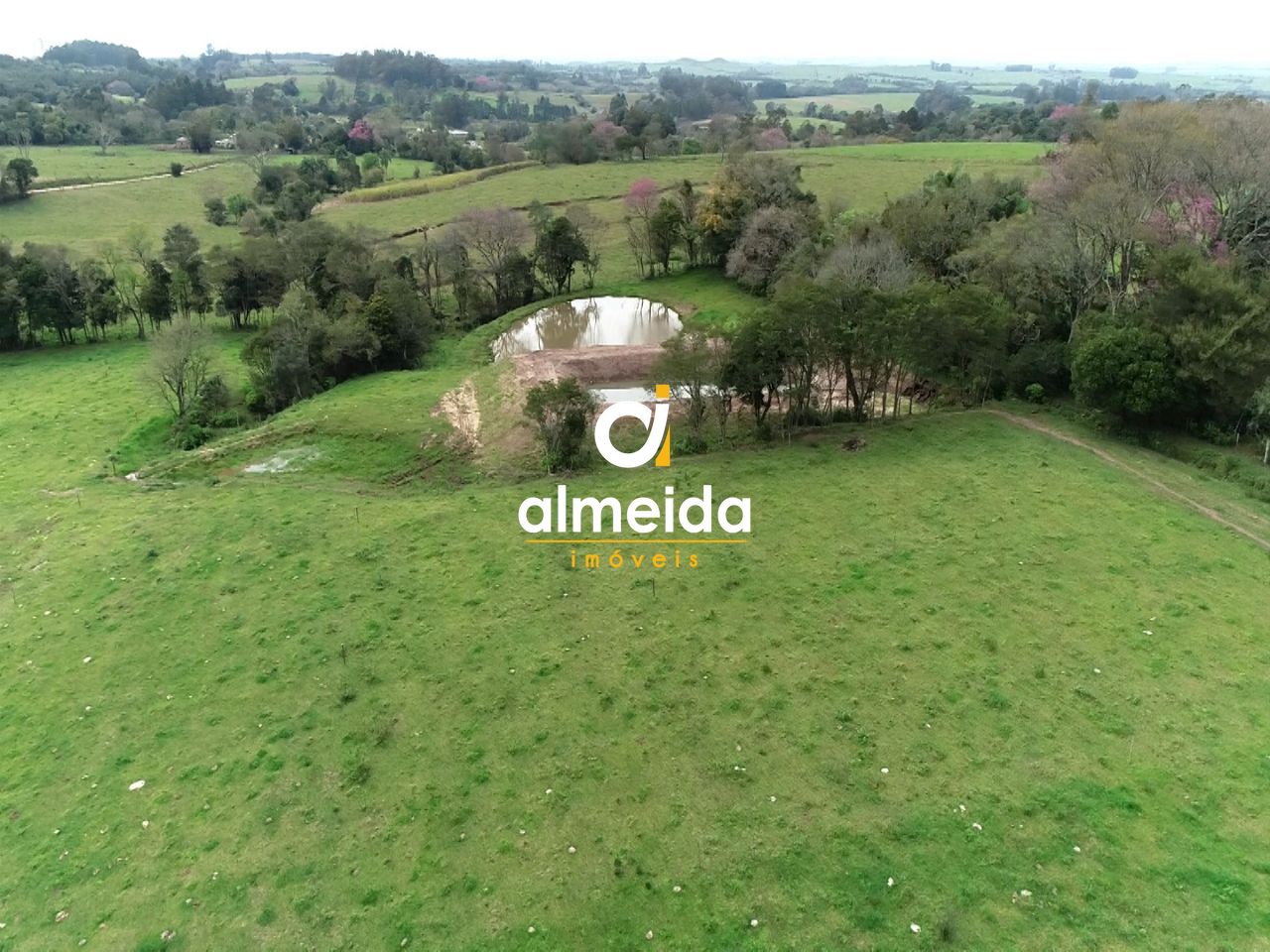Chácara à venda com 3 quartos, 600000000m² - Foto 12