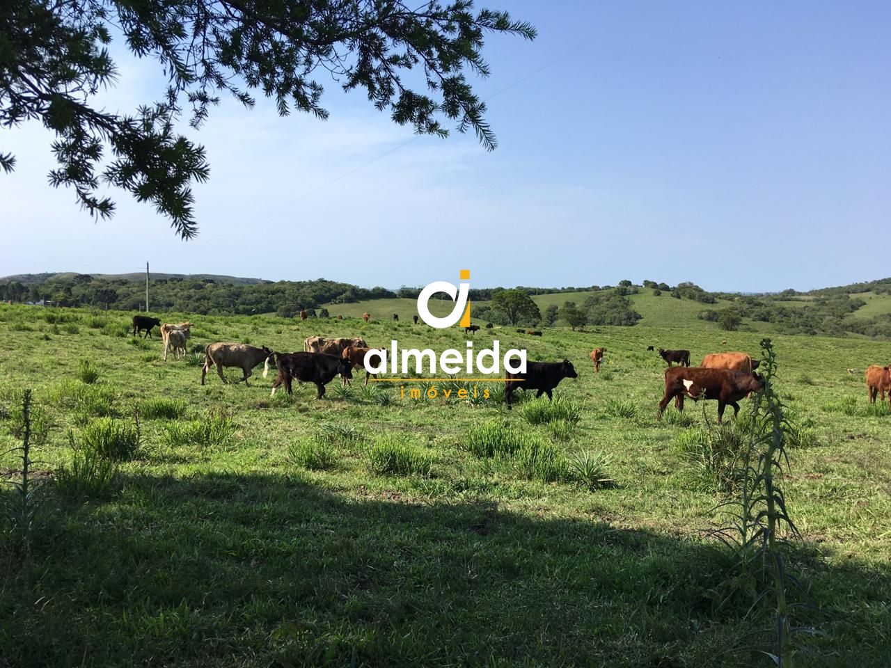 Loteamento e Condomínio, 5800000 hectares - Foto 71