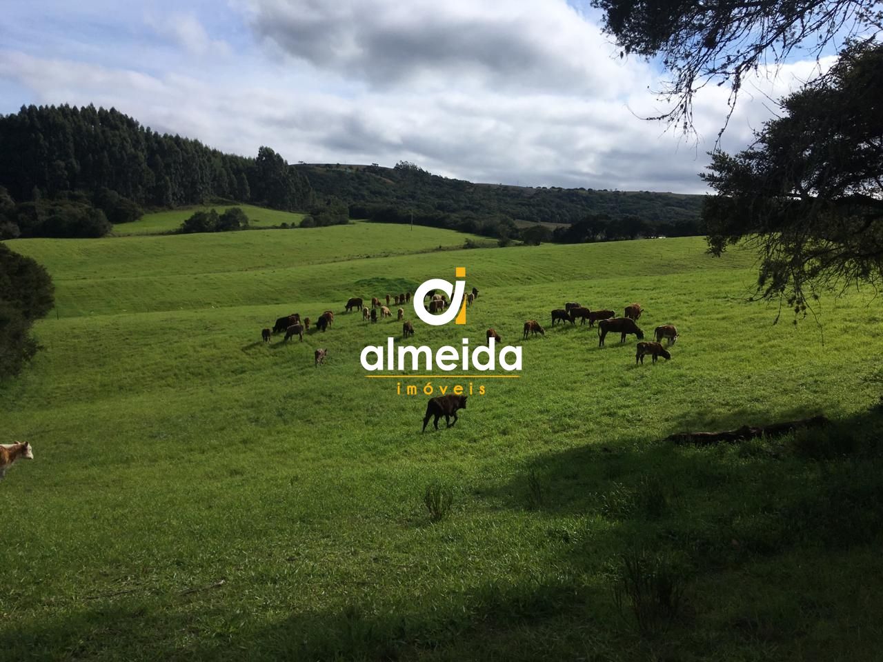 Loteamento e Condomínio, 5800000 hectares - Foto 4