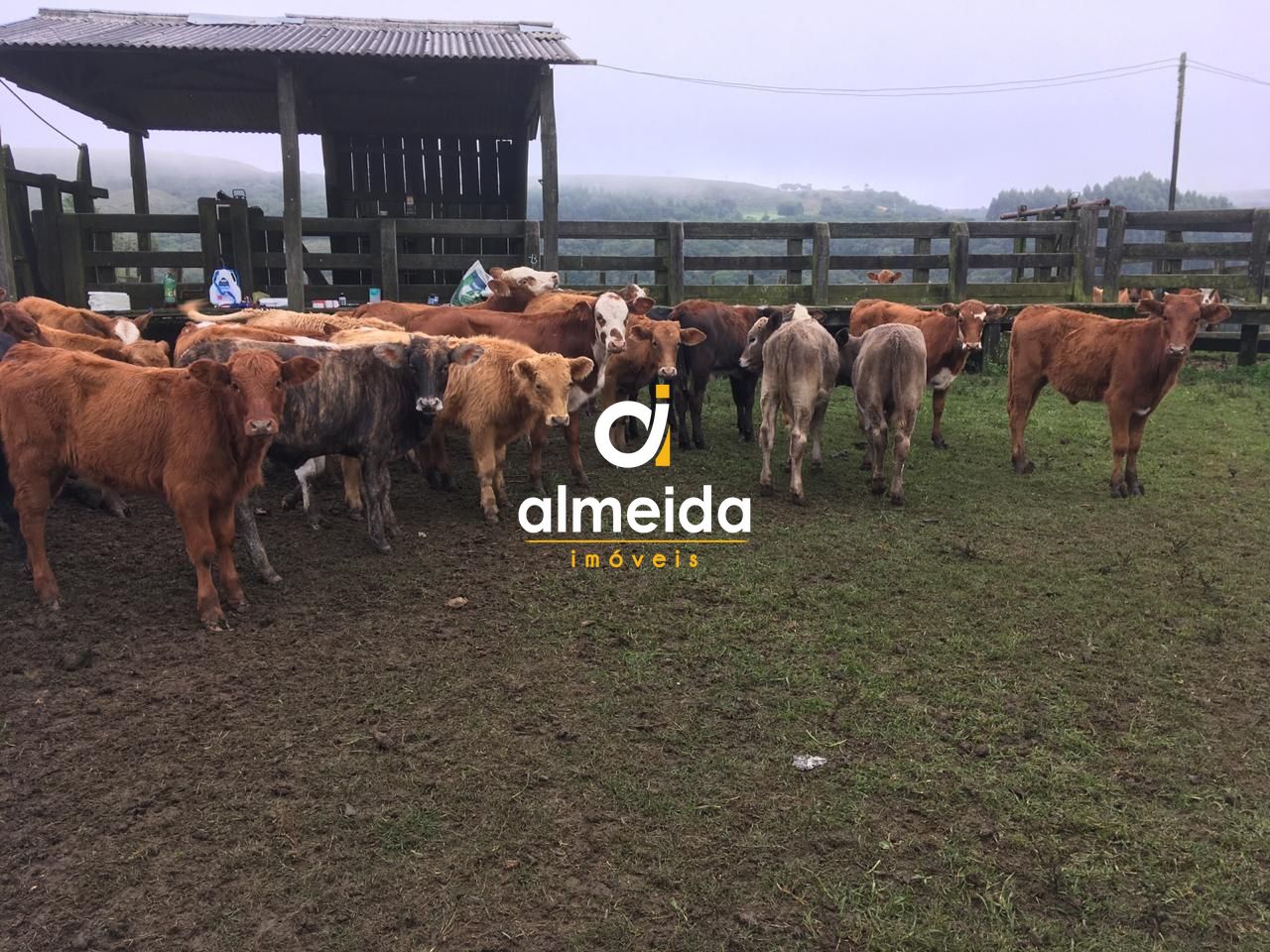 Loteamento e Condomínio, 5800000 hectares - Foto 25