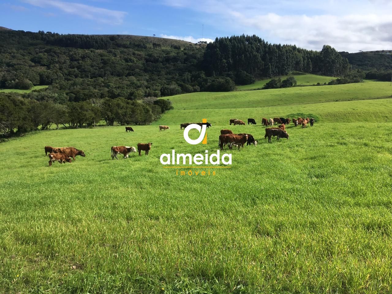 Loteamento e Condomínio, 5800000 hectares - Foto 5