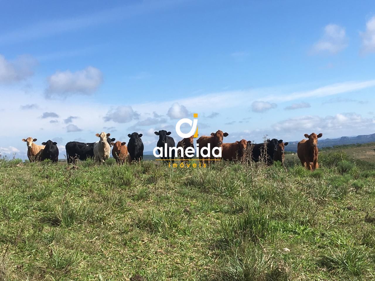 Loteamento e Condomínio, 5800000 hectares - Foto 7