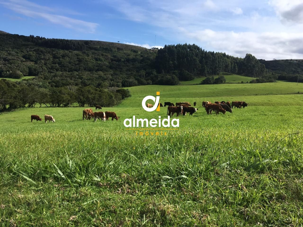 Loteamento e Condomínio, 5800000 hectares - Foto 3