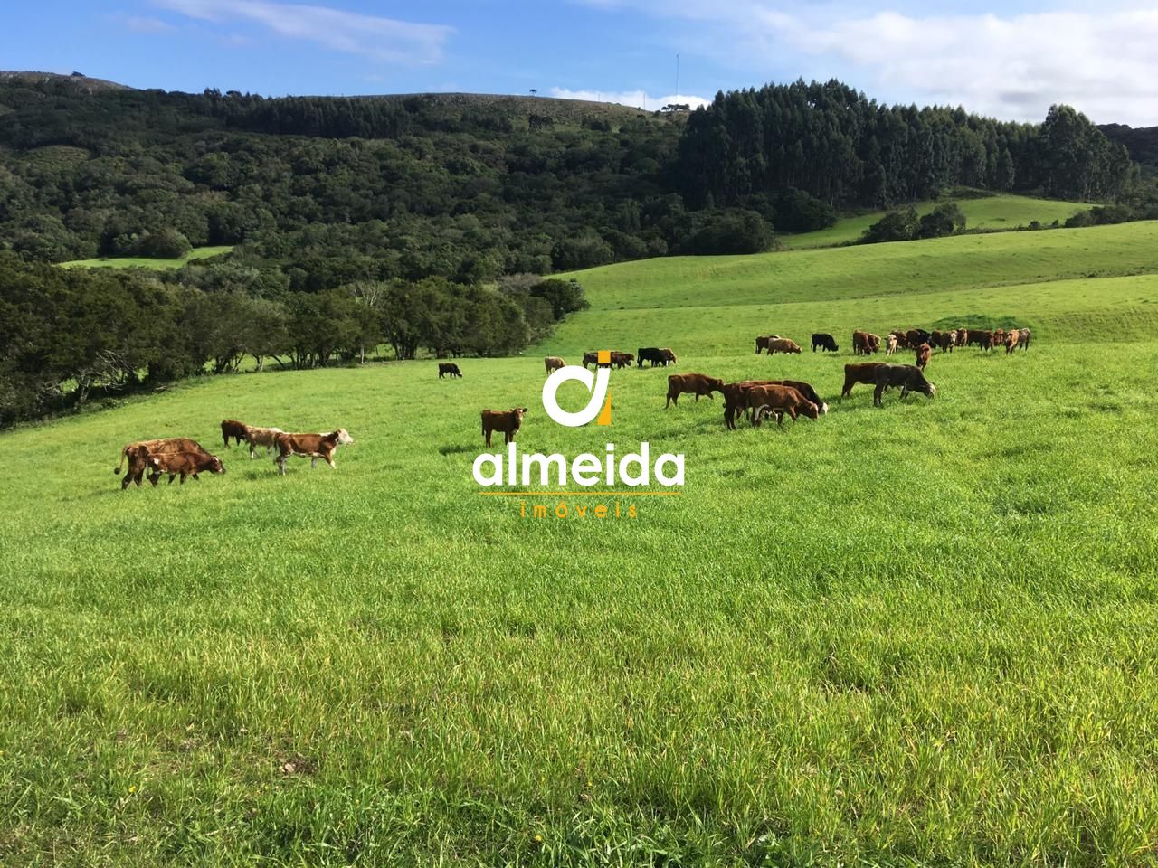 Loteamento e Condomínio, 5800000 hectares - Foto 6