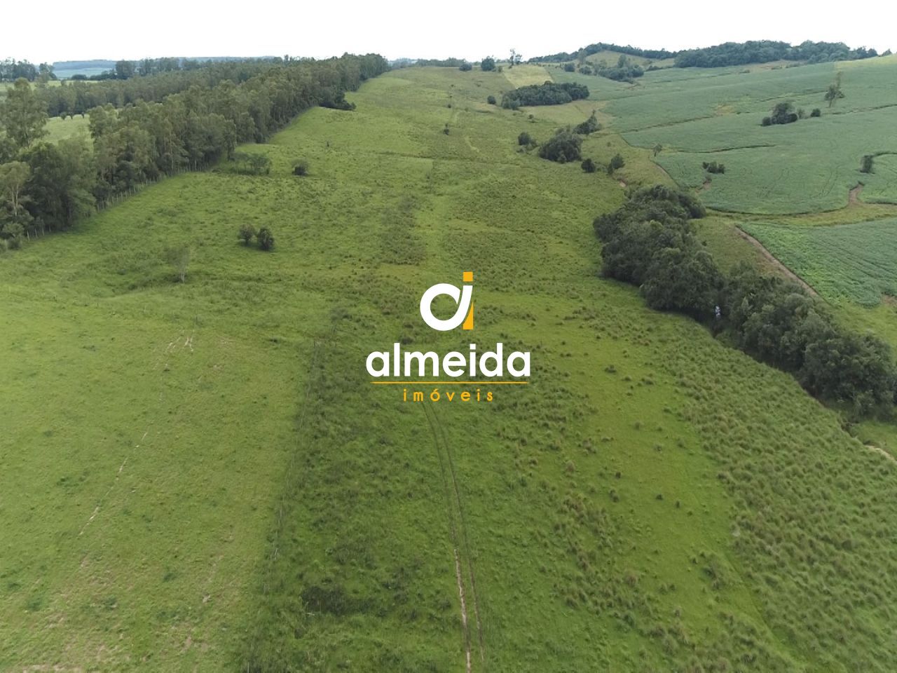 Fazenda à venda com 3 quartos, 3600000000m² - Foto 6