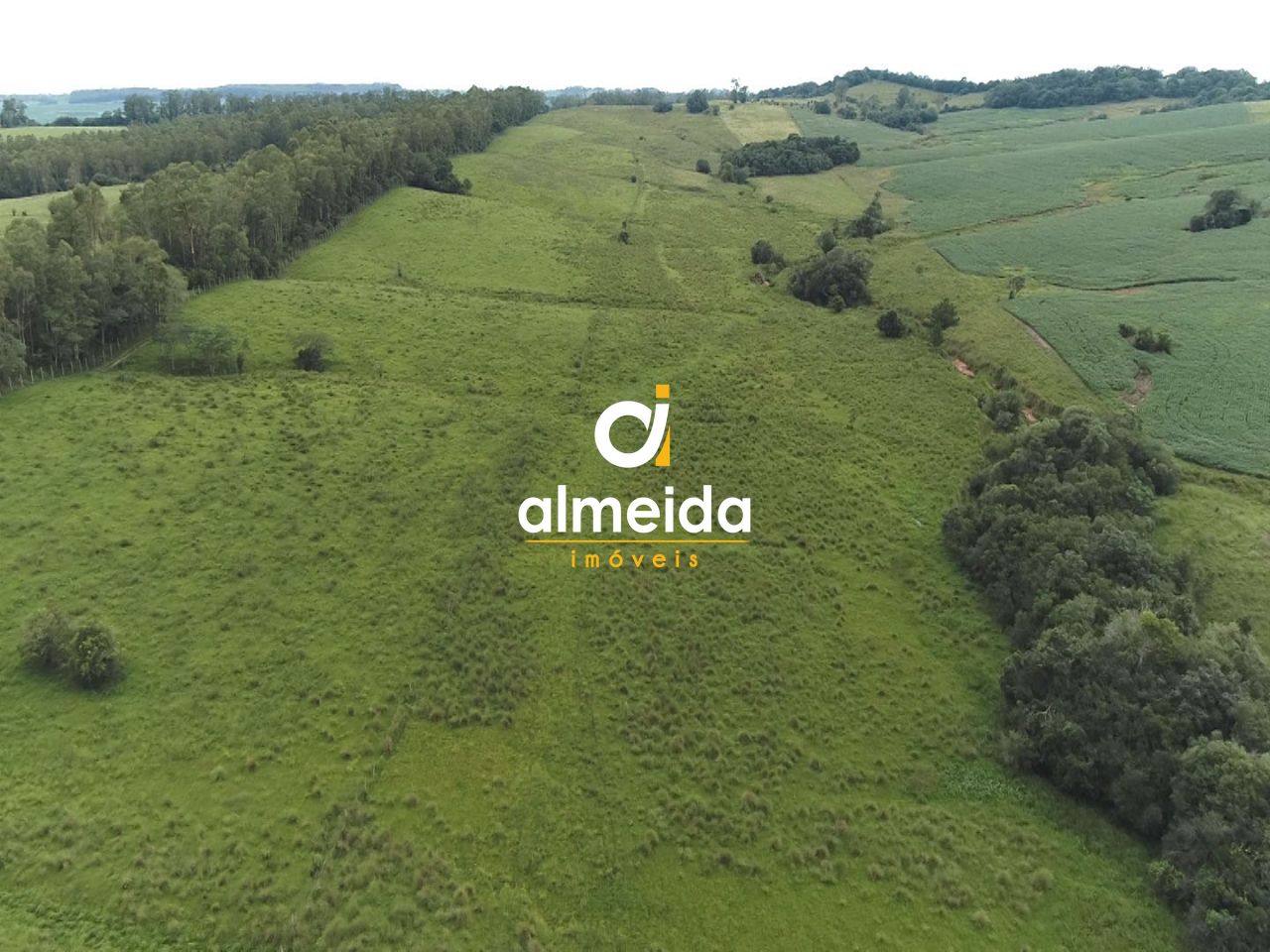 Chácara, 3 quartos, 360000 hectares - Foto 4