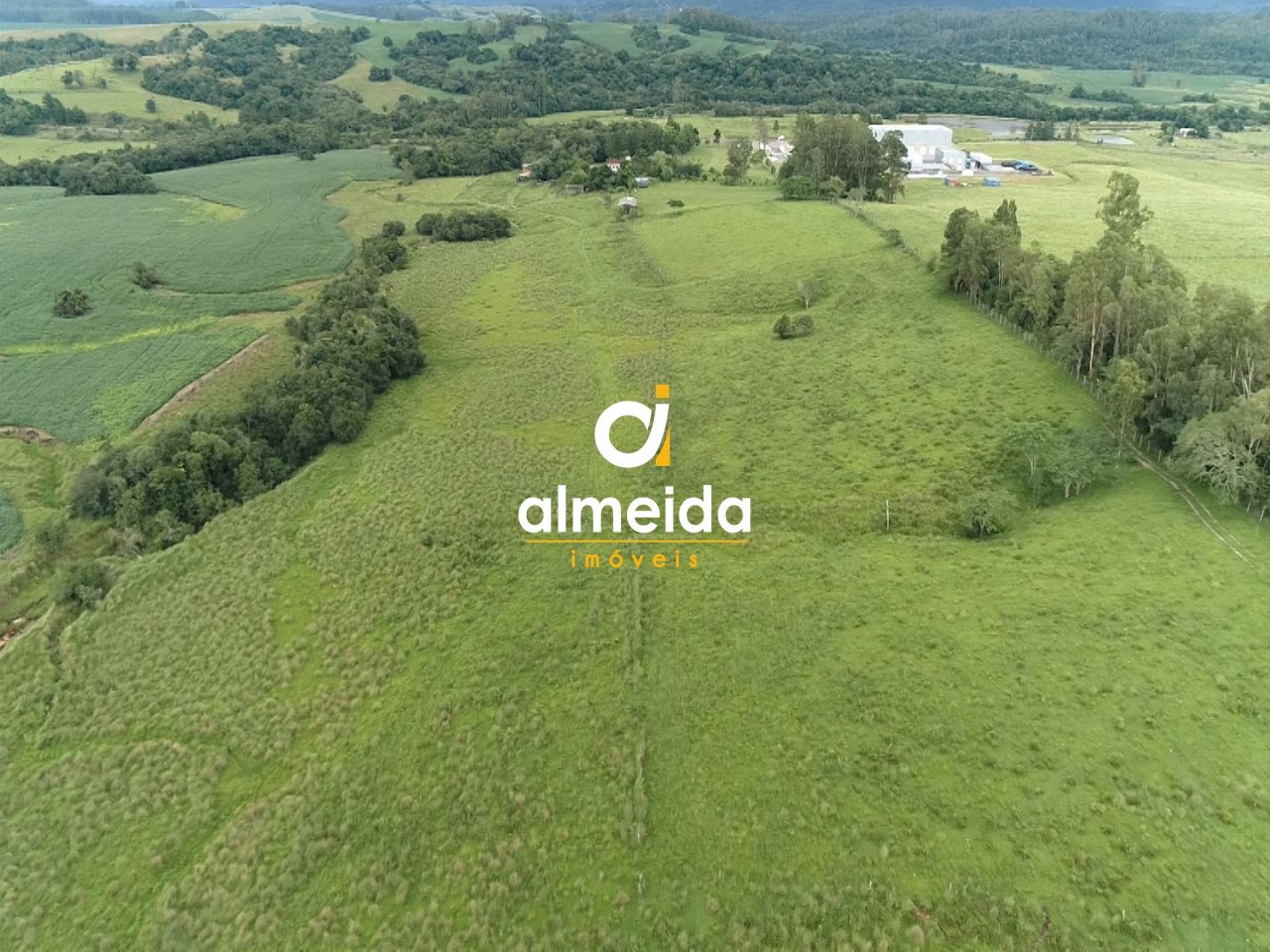 Fazenda à venda com 3 quartos, 3600000000m² - Foto 17