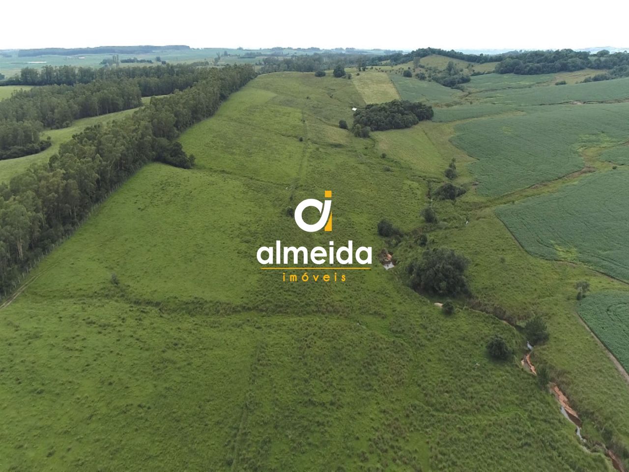 Fazenda à venda com 3 quartos, 3600000000m² - Foto 8