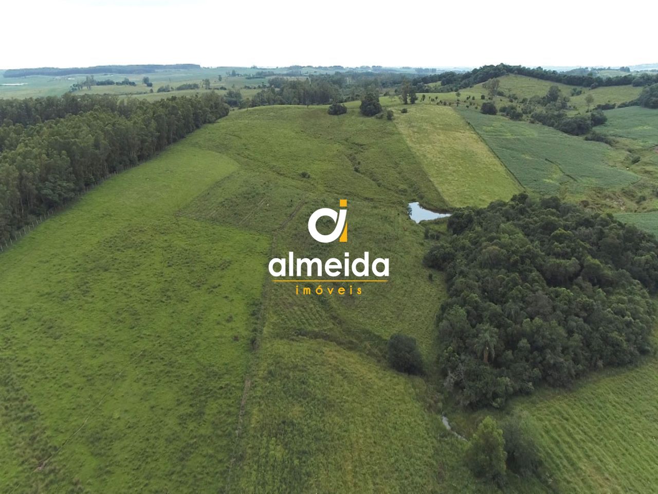 Fazenda à venda com 3 quartos, 3600000000m² - Foto 7