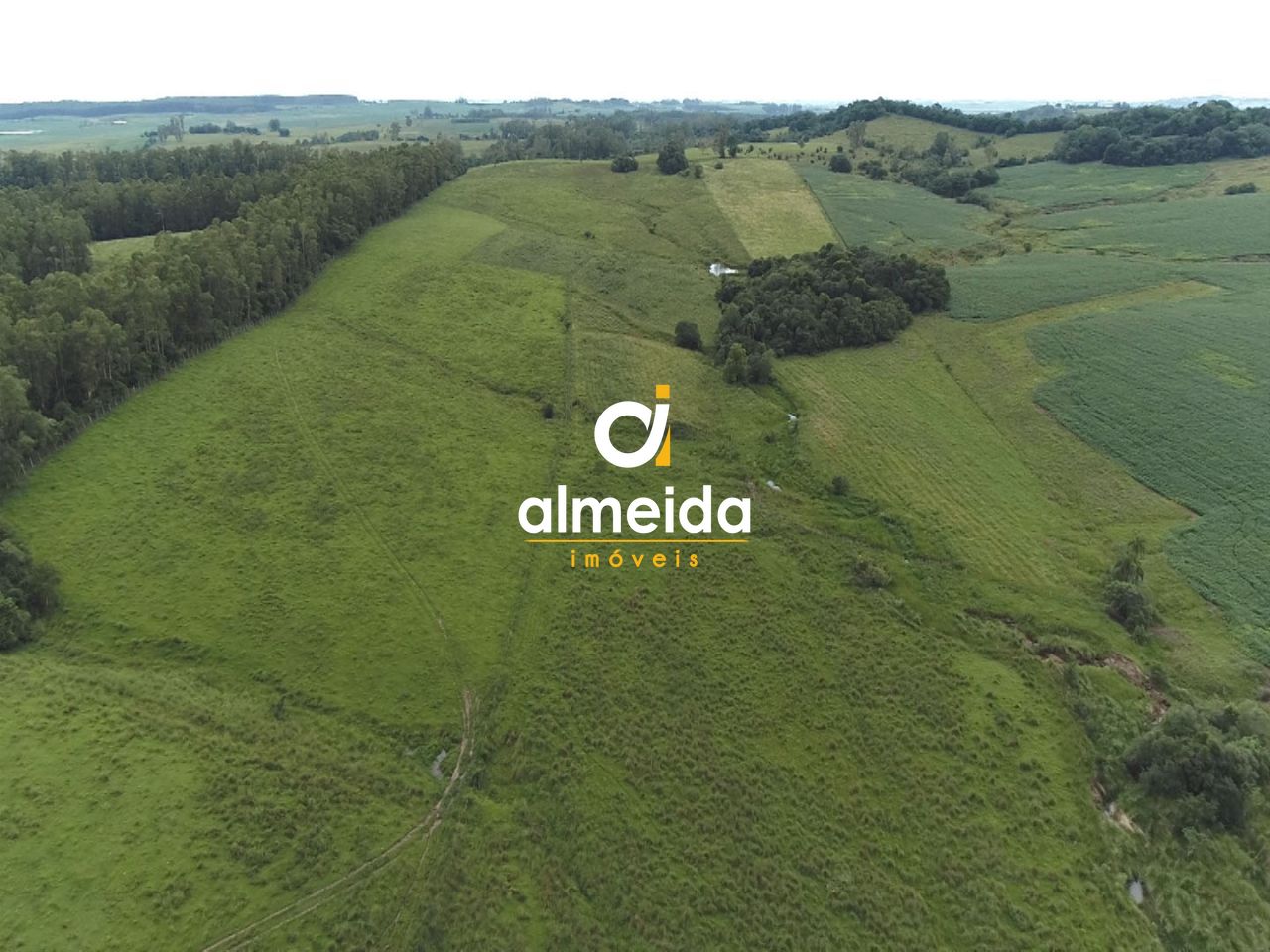 Fazenda à venda com 3 quartos, 3600000000m² - Foto 9