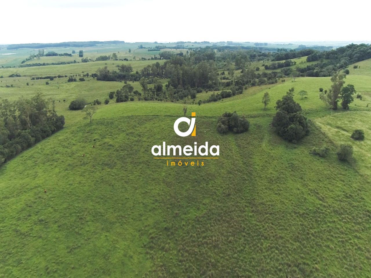 Chácara, 3 quartos, 360000 hectares - Foto 12