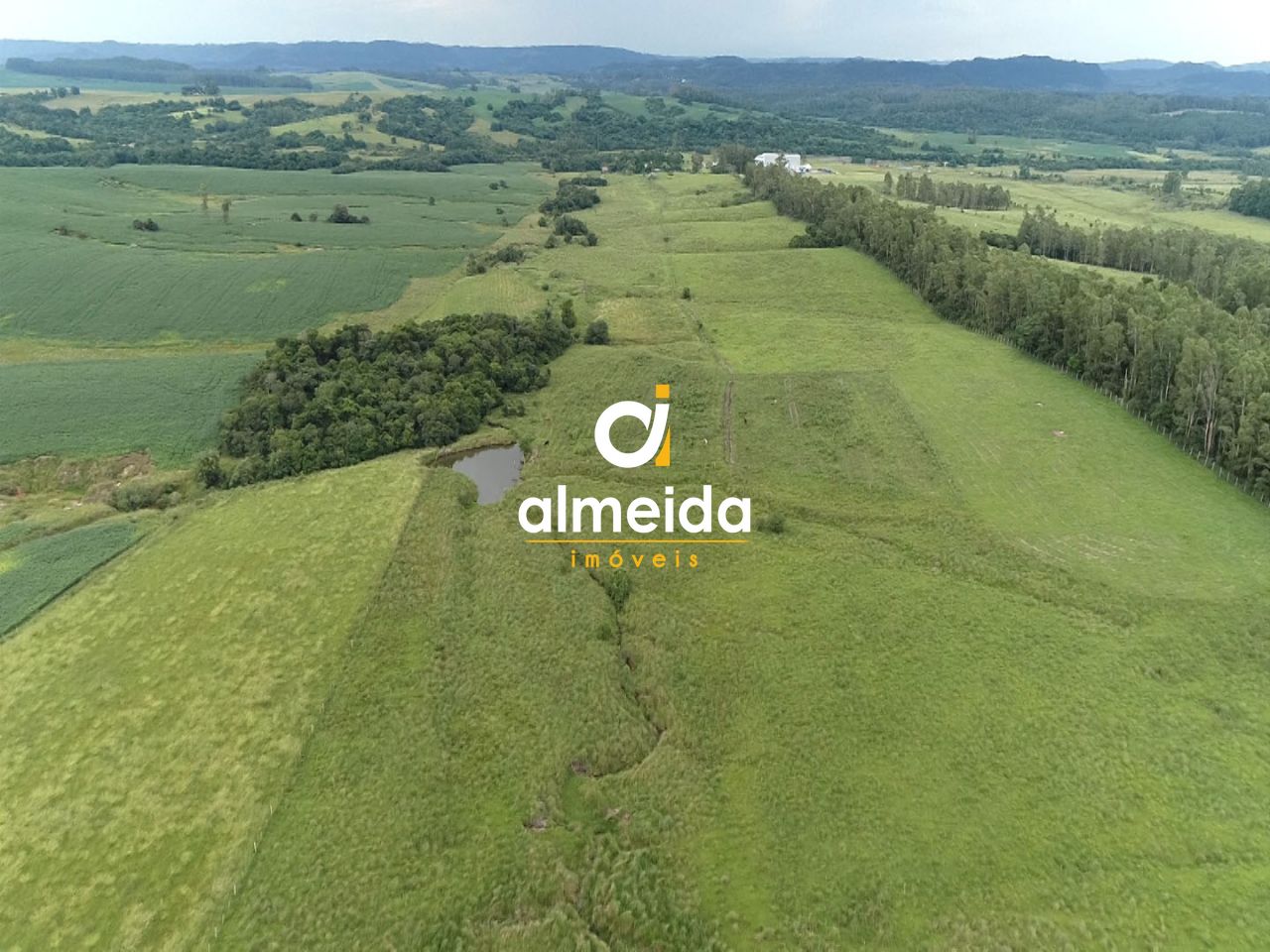 Fazenda à venda com 3 quartos, 3600000000m² - Foto 13