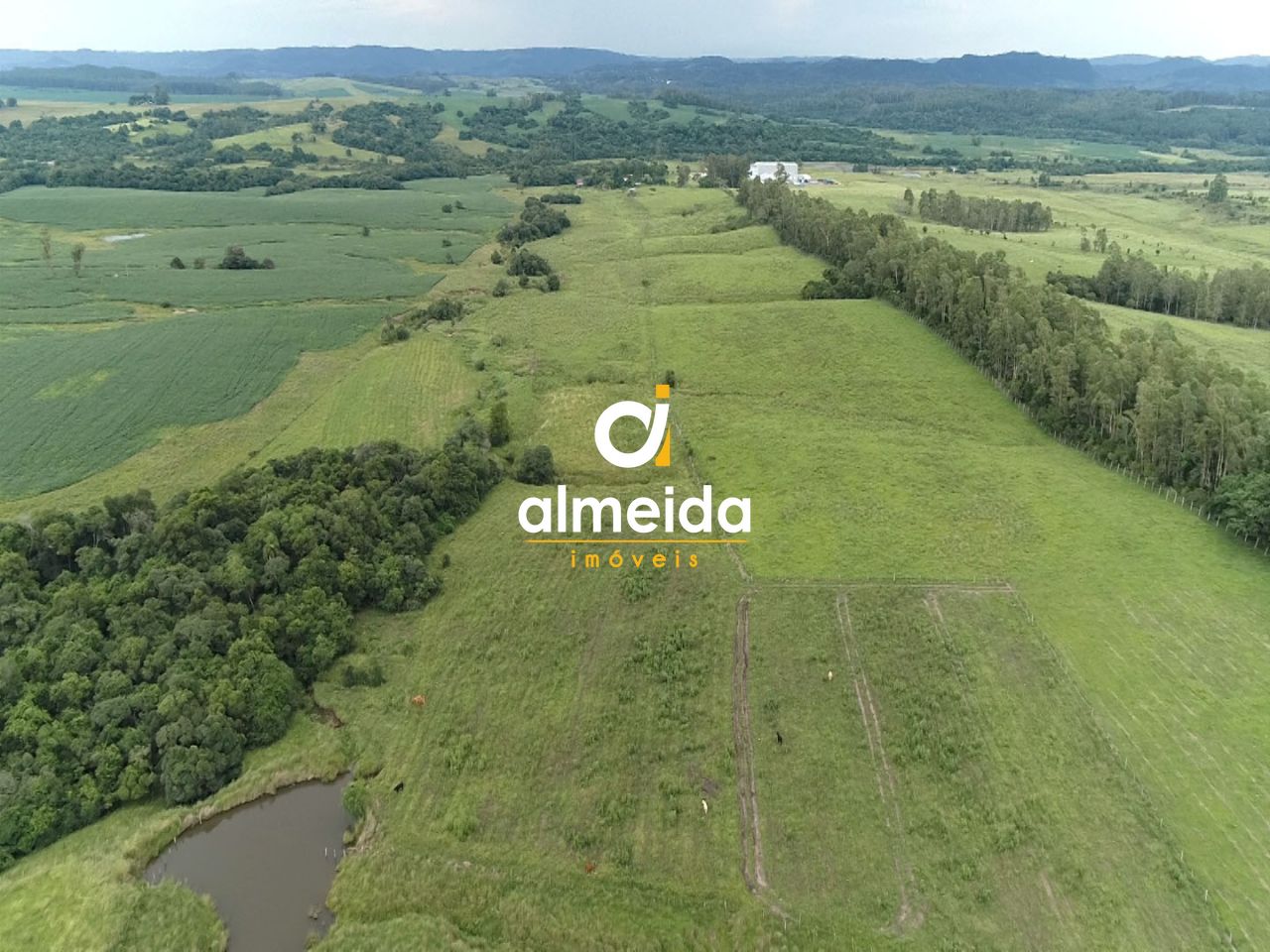 Fazenda à venda com 3 quartos, 3600000000m² - Foto 14