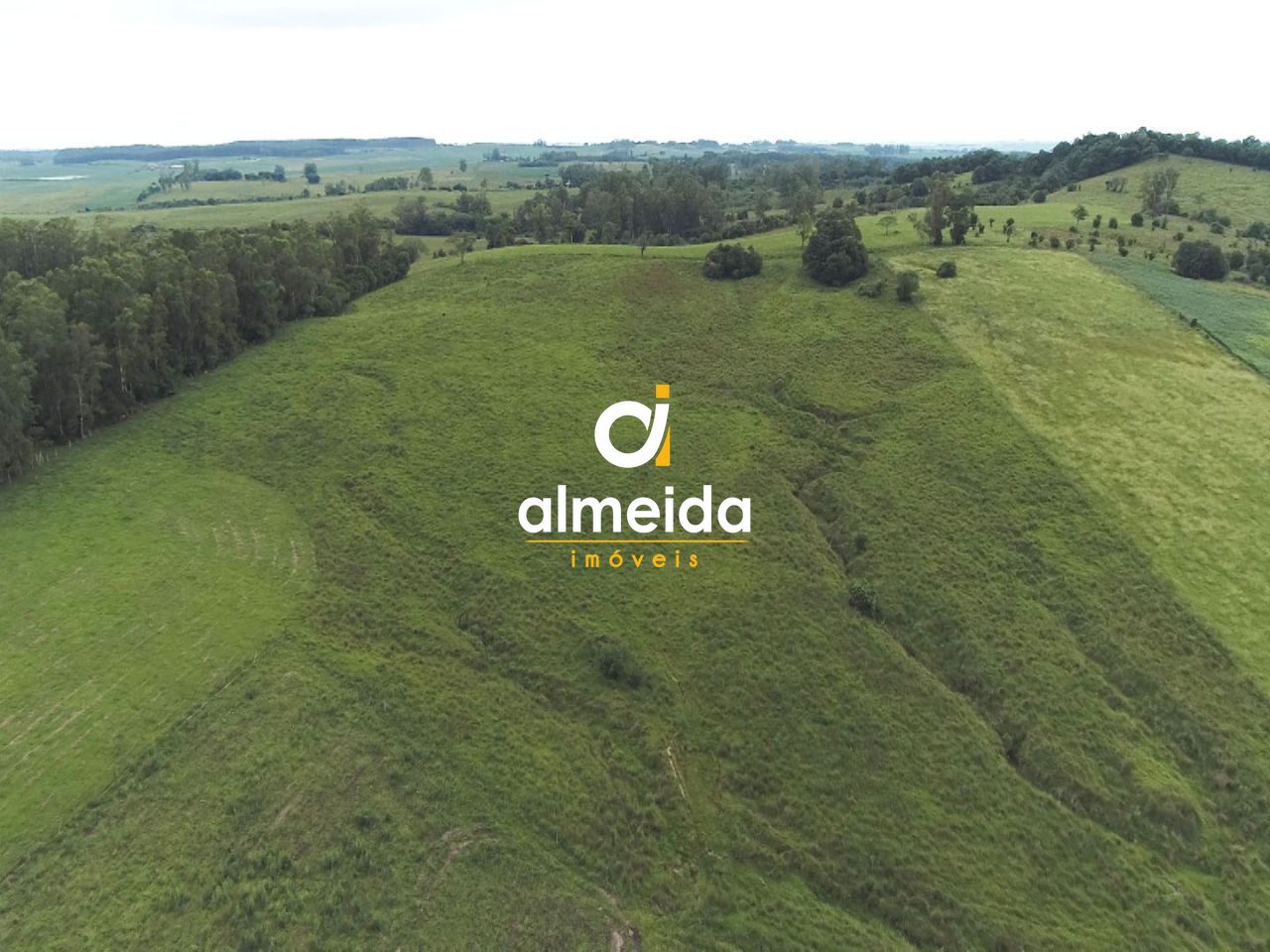 Chácara, 3 quartos, 360000 hectares - Foto 11