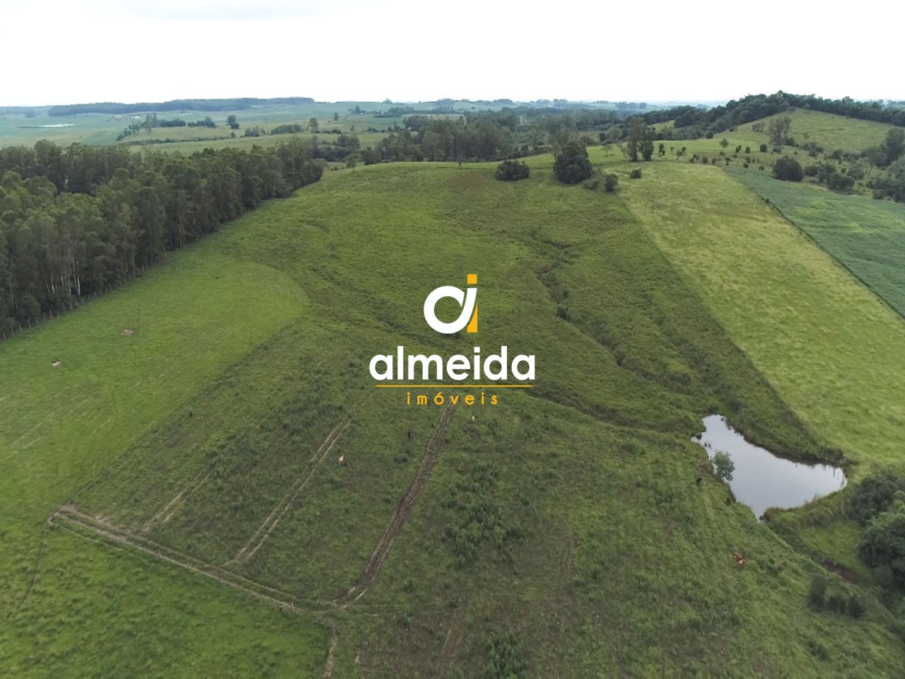 Fazenda à venda com 3 quartos, 3600000000m² - Foto 10