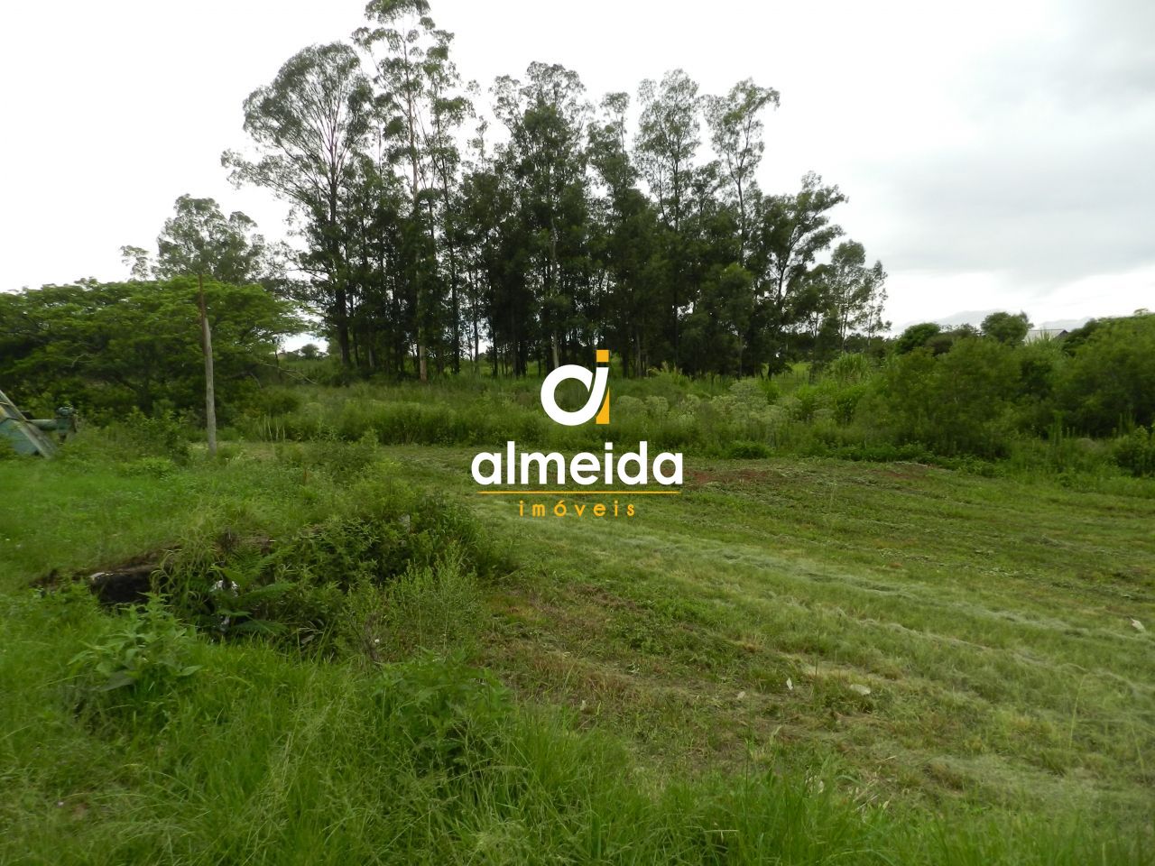 Terreno à venda e aluguel, 20000m² - Foto 12