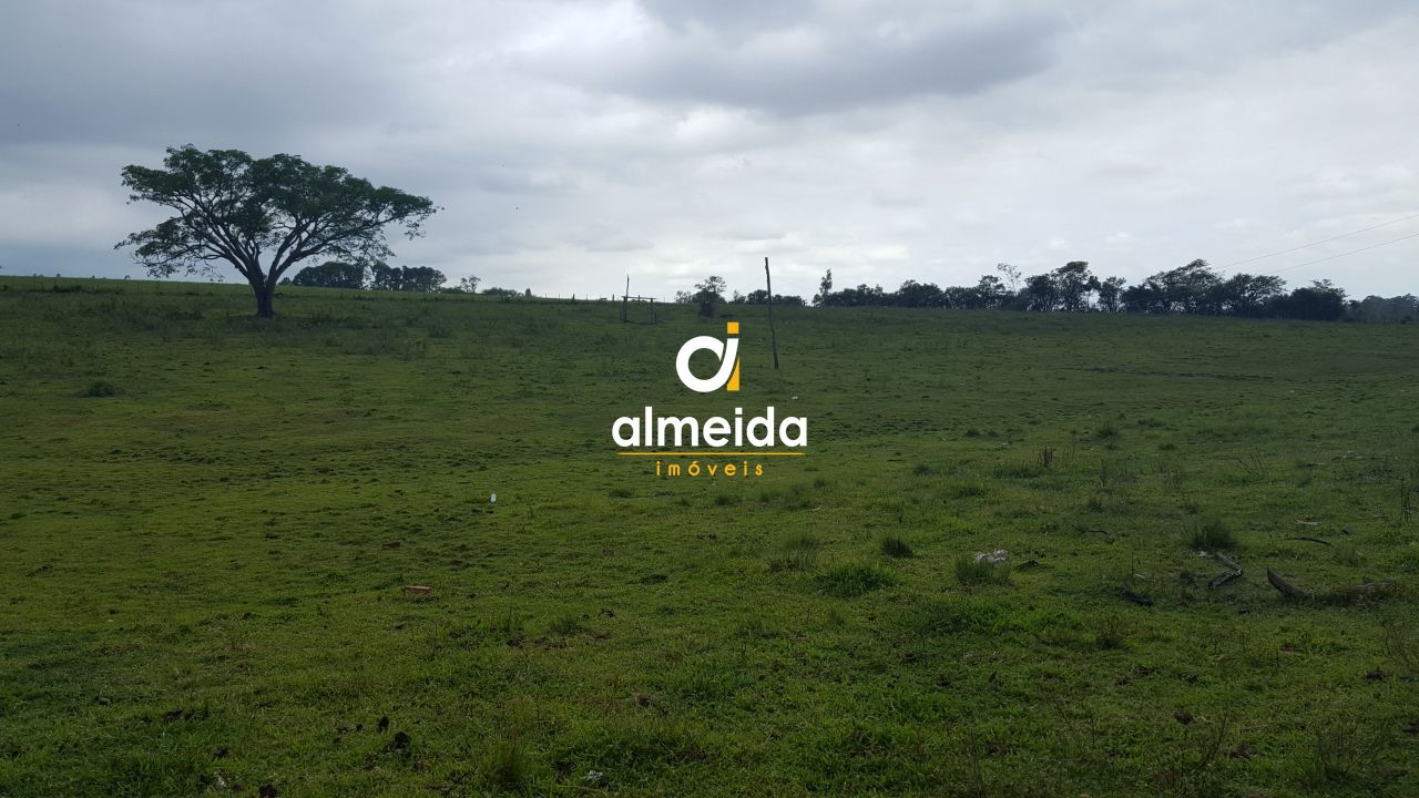 Terreno, 3 hectares - Foto 15