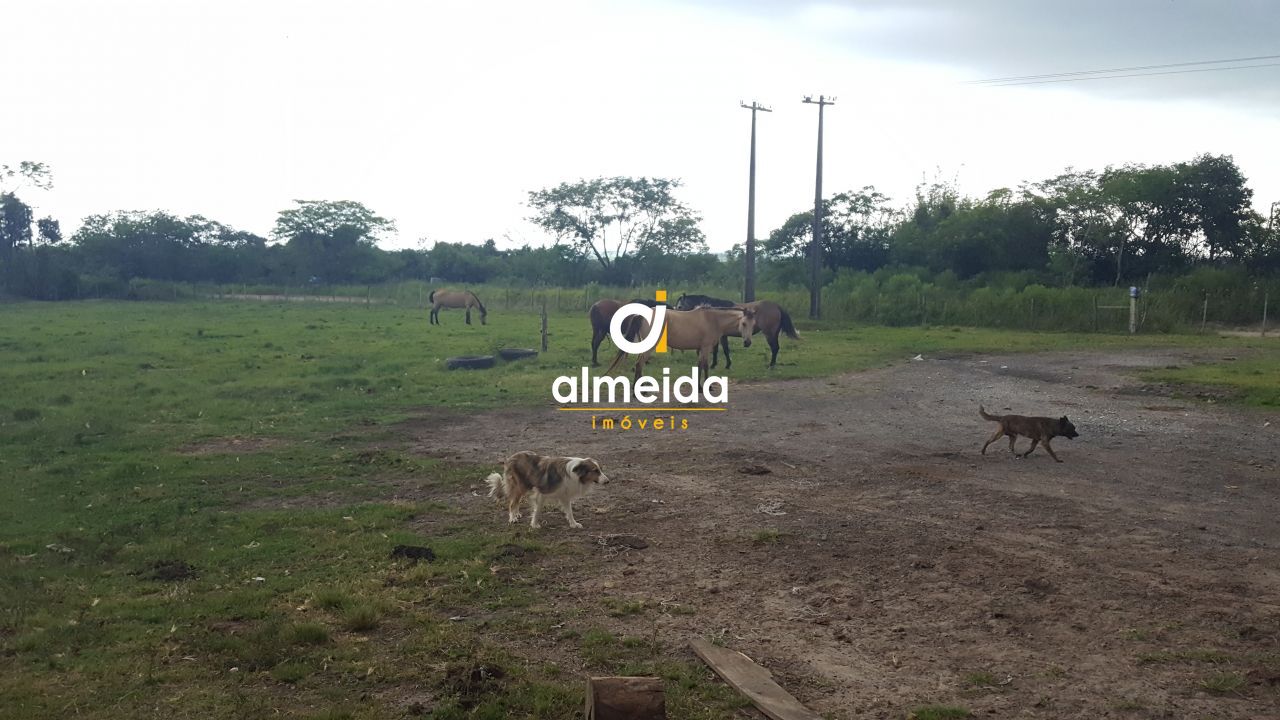 Terreno, 3 hectares - Foto 24