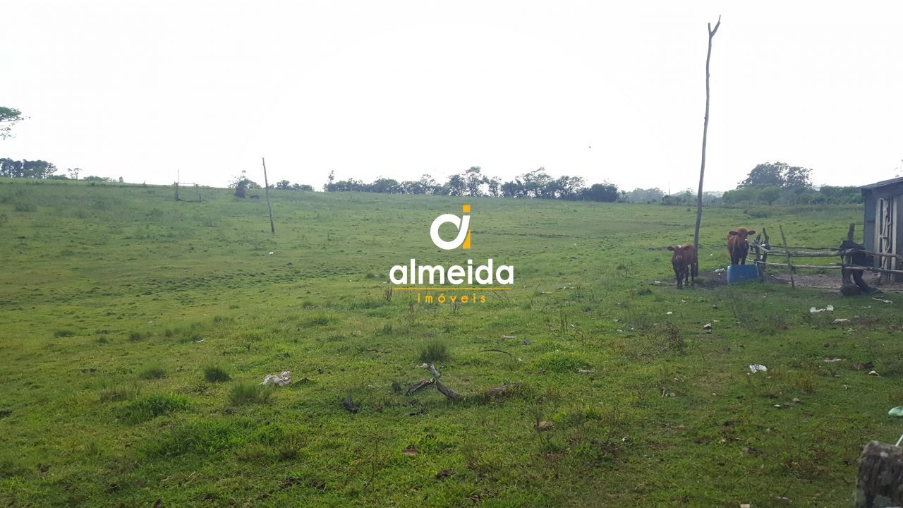 Terreno, 3 hectares - Foto 17
