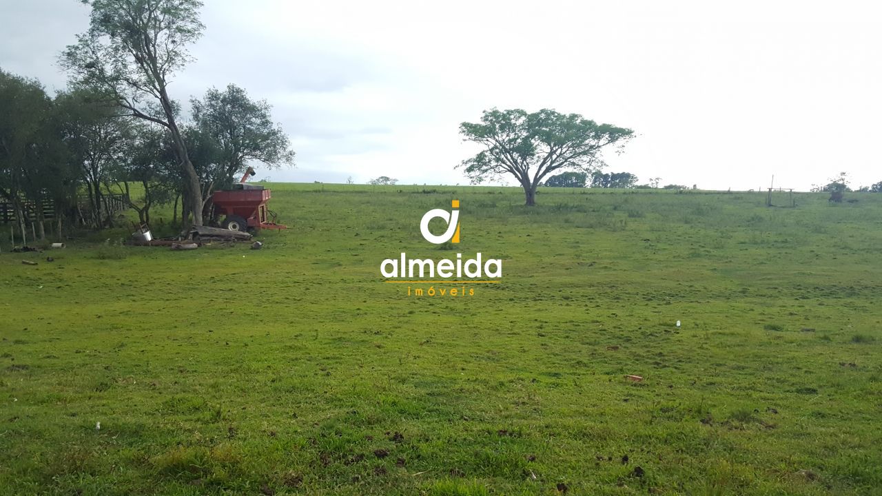 Terreno, 3 hectares - Foto 19